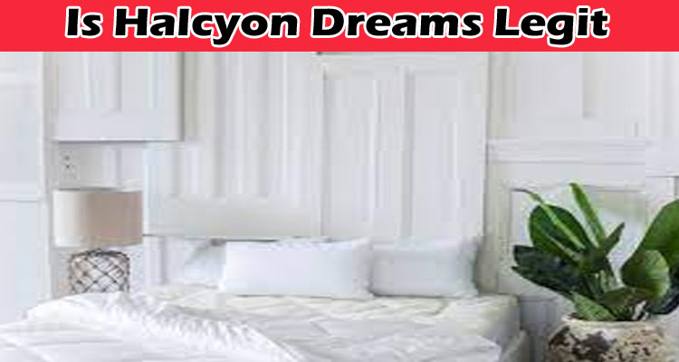 Is Halcyon Dreams Legit online website reviews