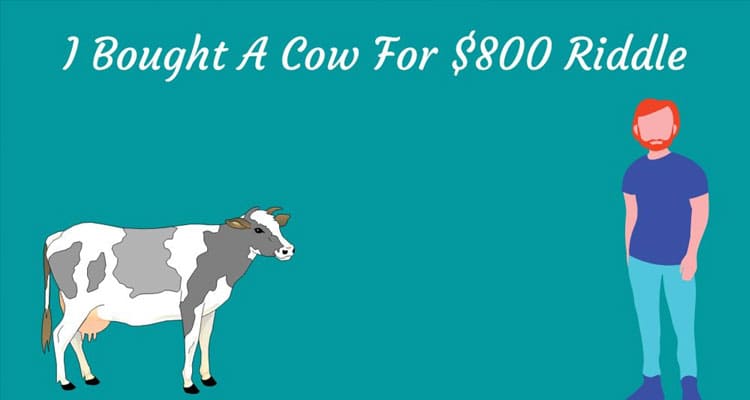 I Bought A Cow For $800 Riddle (Dec 2022) Answer